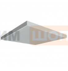 FG 595 36W RAL