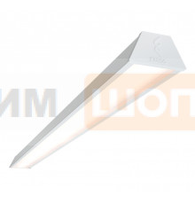 FL 1500 50W RAL