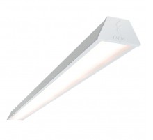 FL 1500 20W RAL
