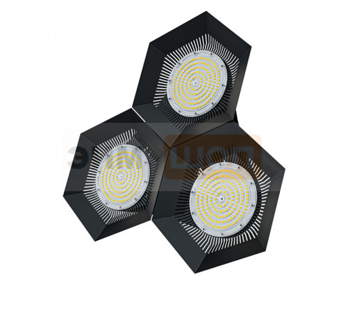 FD 113 300W