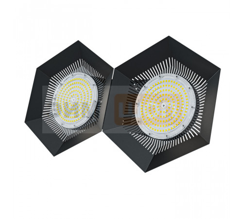 FD 113 200W