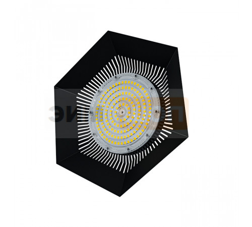 FD 113 NI 100W