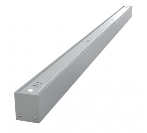 FL 60 65W RAL