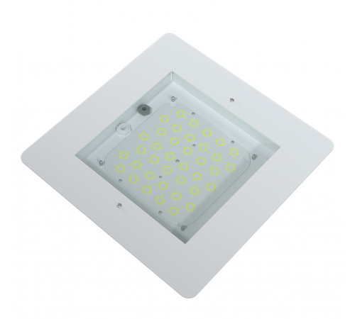 FI 350 100W
