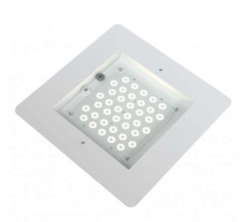 FI 350 100W