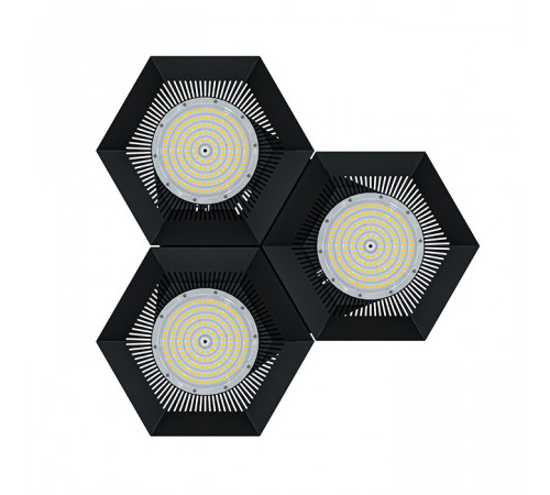 FD 113 300W