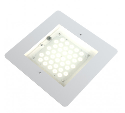 FI 350 100W