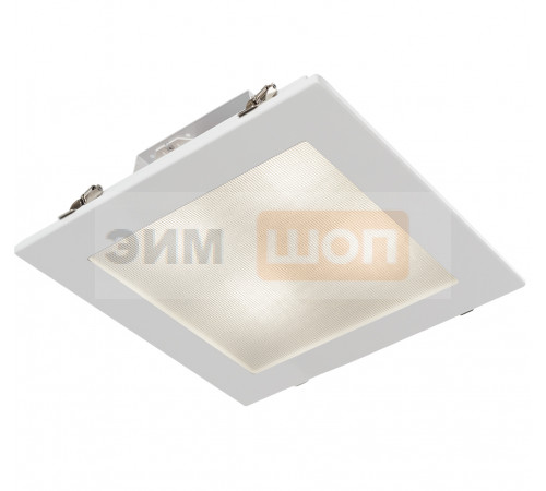 FG 250 IP54 30W RAL