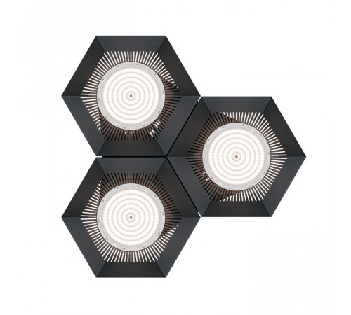 FD 113 300W