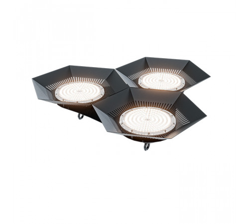 FD 113 300W