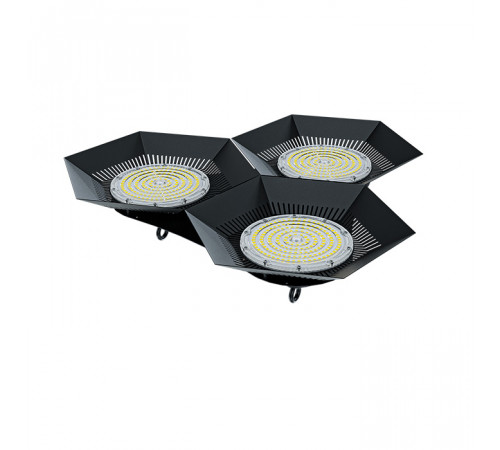 FD 113 300W