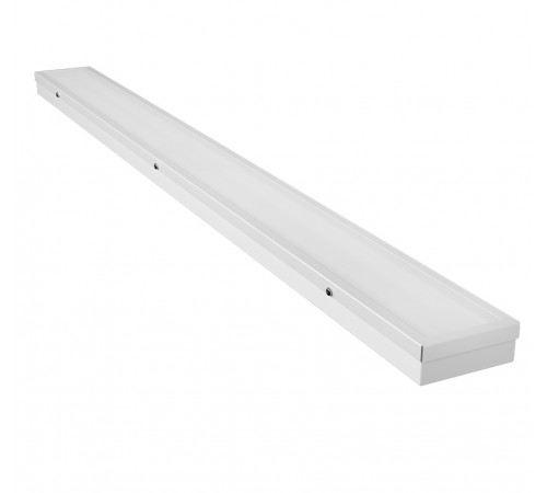 FG 10 38W