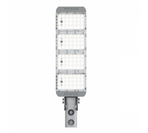 FP 150 NEMA 100W